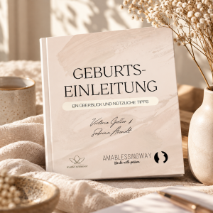 Geburtseinleitung Workbook